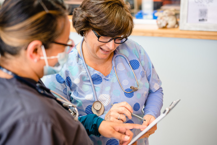 two medical women looking and pointing at a chart